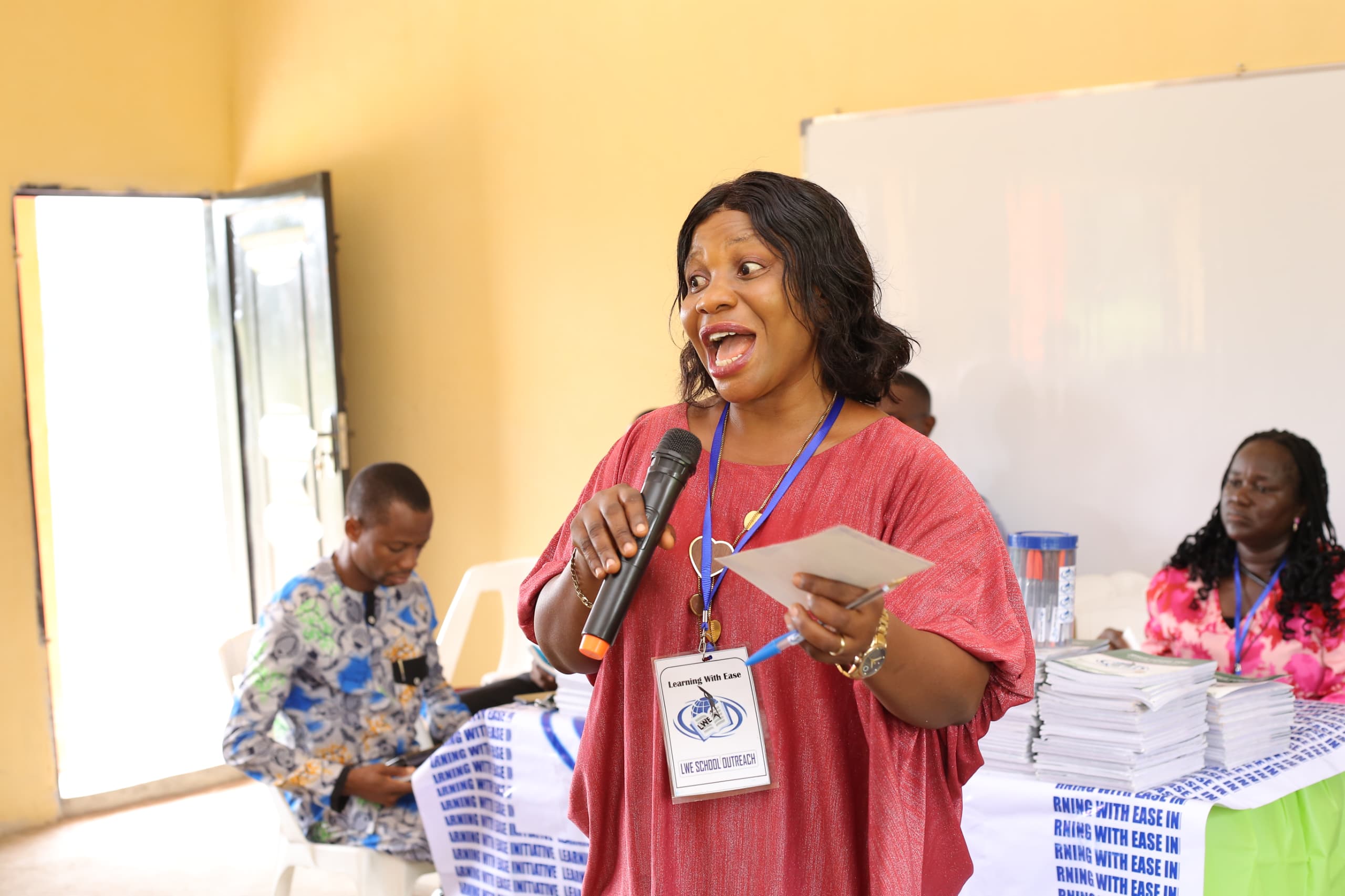 Mentorship in action